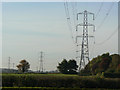 Pylons near Thurgarton