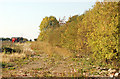 Looking west from the track to East Fields Farm