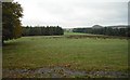 Grassland near Shotts