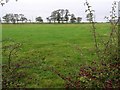 Lennymore Townland