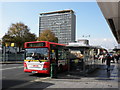 Bus stops, on Royal Parade