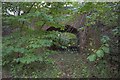 Bridge Under Trackbed of Old Railway