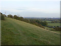 Hillside between Lowdham and Gonalston.