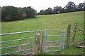 Footpath and gate towards Toy