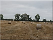 S5952 : Straw Bales by kevin higgins