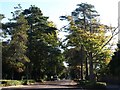 East Avenue, Bournemouth