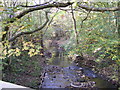 River Stour View