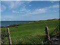 Greens at the Ardglass Golf Course.