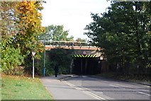 TQ5945 : Narrow Railway Bridge, Strawberry Vale by N Chadwick