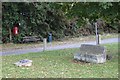 Village green and roadside, Old Milverton