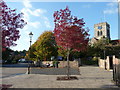 Ringwood : Market Place & Church of St. Peter and St. Paul