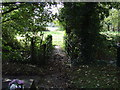 Footbridge over stream into Meadow