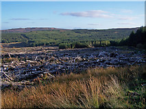 NG2858 : Waternish Forest by Richard Dorrell