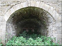 NY5857 : Limekiln at Foresthead quarry by Oliver Dixon