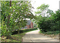 Driveway to Salamanca Farm