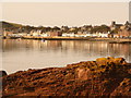 NS1654 : Millport: town centre viewed from across the bay by Chris Downer