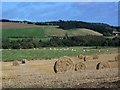 Mixed farming, West Tullyfergus