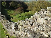 NY6766 : Detail of Hadrian's Wall by Oliver Dixon