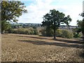 Warwickshire fields