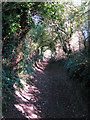 View N along the North Downs Way