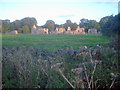 Grace Dieu Priory - 1