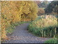 Pathway round  Kernan Lake near Gilford