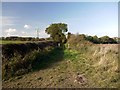 Footpath north-east of Hawthorn village