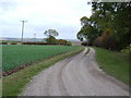 Farm Track, Gill