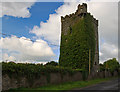 R6147 : Castles of Munster: Williamstown, Limerick (1) by Mike Searle