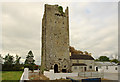 R4138 : Castles of Munster: Lissamota, Limerick (1) by Mike Searle