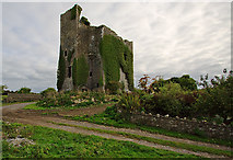 R3242 : Castles of Munster: Lisnacullia, Limerick (2) by Mike Searle