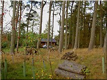 SE2265 : Log cabin in Warren Forest, North Yorkshire by Steve  Fareham