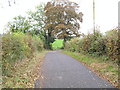 Ballymore Road, Loughbrickland