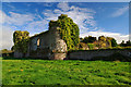 S0214 : Castles of Munster: Castle Grace, Tipperary (1) by Mike Searle