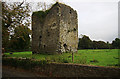 S0545 : Castles of Munster: Ardmayle, Tipperary by Mike Searle