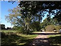 Bridleway by Hightown Lake