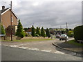 Bolsover - Searson Avenue looking South east