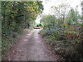 Bridleway and track to property in Crimbourne Wood