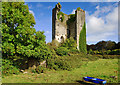 R4872 : Castles of Munster: Kilkishen, Clare by Mike Searle