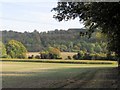 A view across the fields to the Chiltern Hills