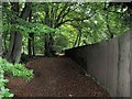 The Long Fence beside the footpath through Buckland Hoo wood