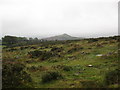 View towards Sharp Tor