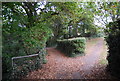 Footpath junction, Pen Stream Woods