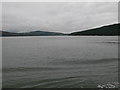 S7010 : The River Suir from  the Passage East to Ballyhack ferry by Eirian Evans