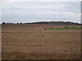 Farmland near Constitution Hill Farm