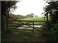 Gate, path and ford