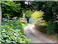 Church Lane, Weston under Penyard 1