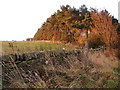 Footpath from Fell Road to Highfield Farm Lane