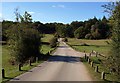 Road at Linford Bottom