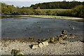 SO7580 : River Severn near Upper Arley by Philip Halling